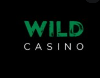 Wild Casino Spanish USA logo