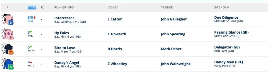 Best Horse Racing Betting Apps - Top 10 Horse Racing Mobile Betting Sites