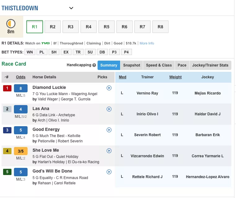 Best Horse Racing Betting Apps - Top 10 Horse Racing Mobile Betting Sites