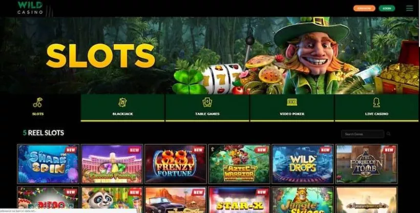 Wild Casino Lobby