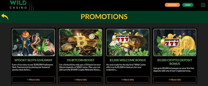 Wild Casino Promotions