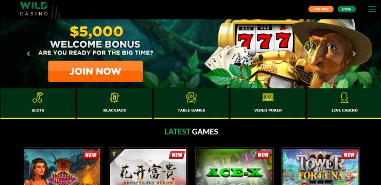 Wild Casino is the Best Online Casino in Minnesota