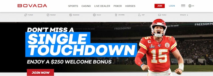 Bingo sports betting fixtures living instaforex webinar software
