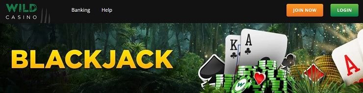 Wild Casino Blackjack Banner
