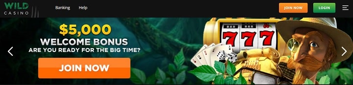 Wild Casino Homepage Join Now