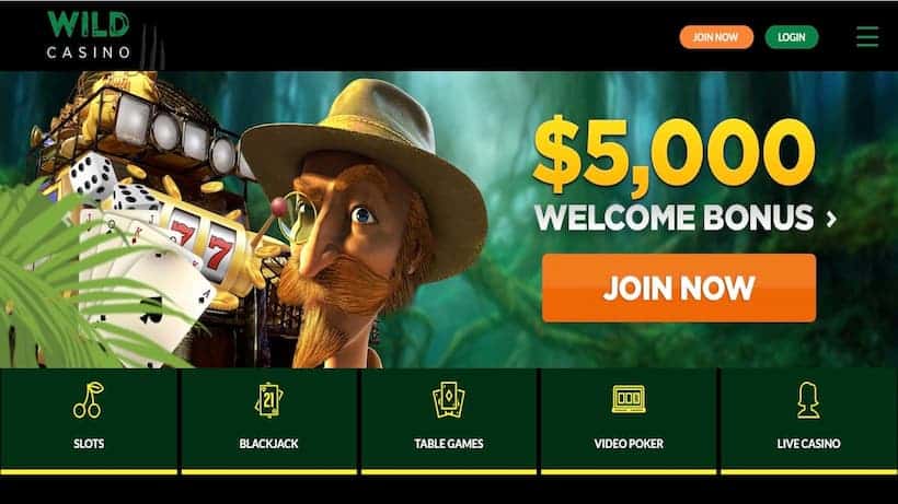 Wild Casino Join Now - Best Live Baccarat Casinos - image