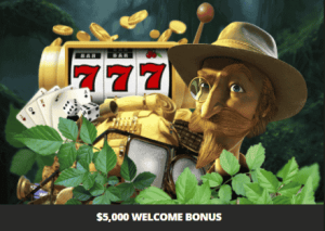 bonos de bienvenida wild casino