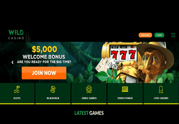 Wild Casino site homepage.
