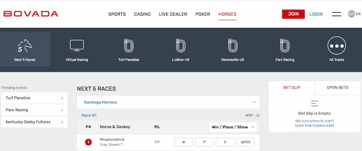 Georgia horse racing betting - Bovada