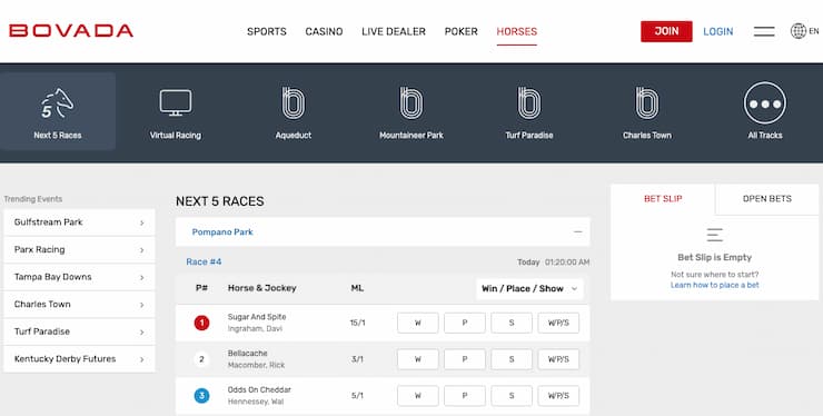 Best usa online horse betting sites rynek forex godziny otwarcia castorama