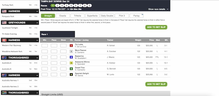 Maryland horse racing sites like XBet offer a wide variety of betting options