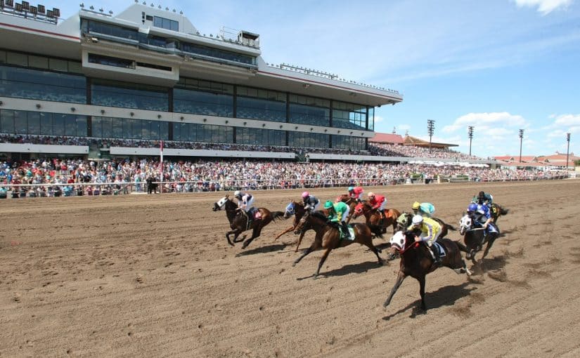 Minnesota Horse Racing Betting – Comparing The Best Horse Racing Betting Sites in Minnesota