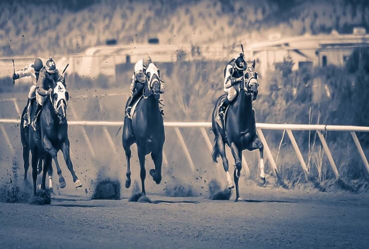 3 Horses racing