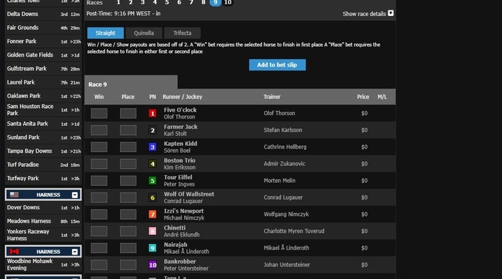 Online horse racing betting sites in nj