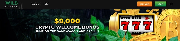 Wild Casino $9,000 Cash App Crypto Bonus