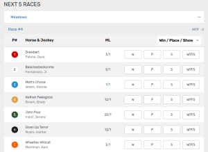 This page shows some of the basic bet types for horse racing at Bovada. 