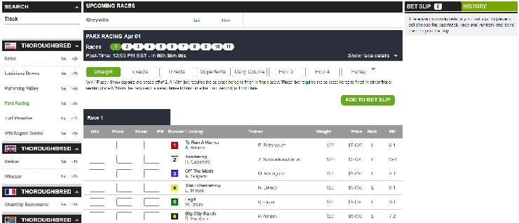 Kentucky Derby betting sites sign up stage 4