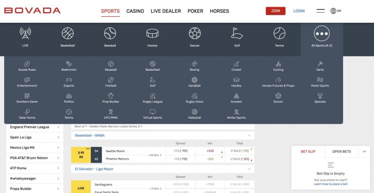 Bovada online sportsbook app in VA