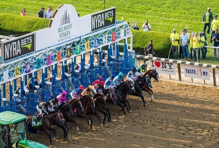How to bet on Belmont stakes - Horses at starting gate