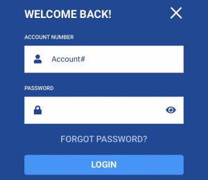 BetUS account number and password page