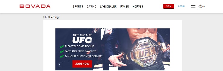 UFC Betting Guide - Bovada