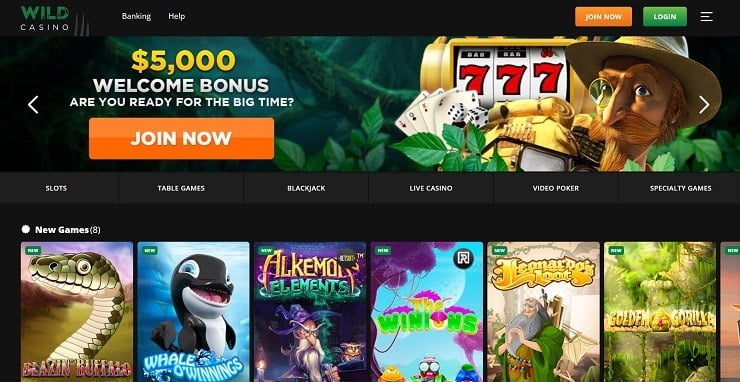 Wild Casino Sweepstakes Online Homepage