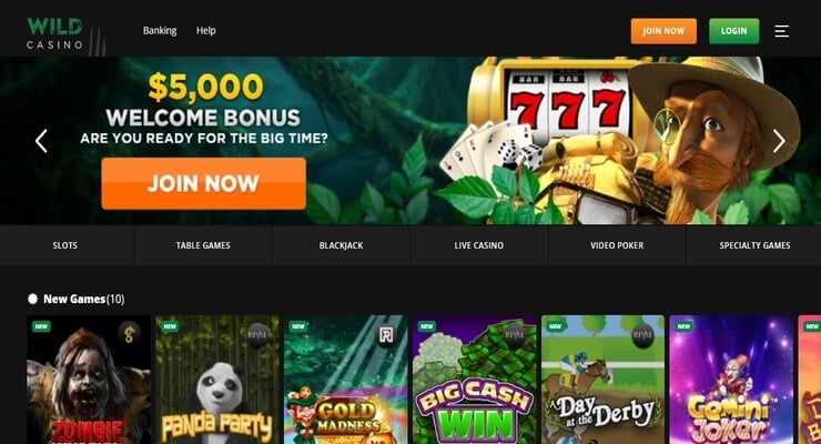Best Online Casino Promotions - Wild Casino homepage