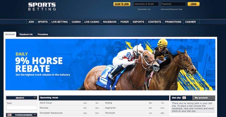 sportsbetting.ag horse racing betting