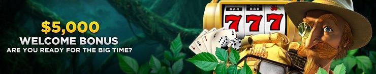 Wild Casino $5,000 Welcome Bonus