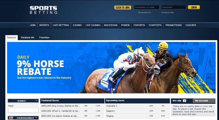 California horse racing betting - sportsbetting.ag