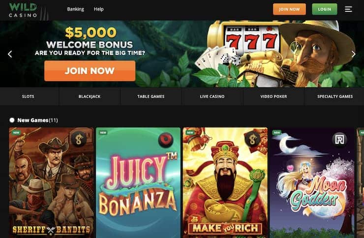 Wild Casino homepage - The best Dogecoin casinos