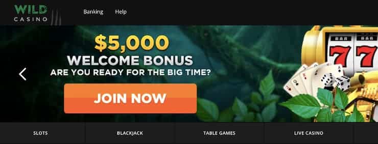 Top 10 Best Gambling on line Web have a glance at the website sites For real Currency, January 2024