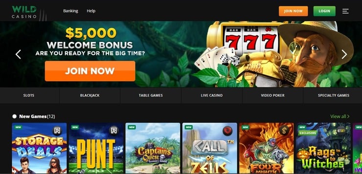 Wild Casino homepage offering a Bitcoin casino bonus