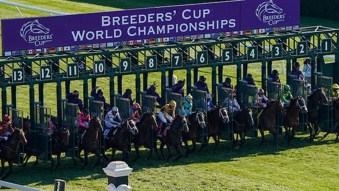 How To Bet On The Breeders Cup With Arizona Sports Betting Sites For Horse Racing