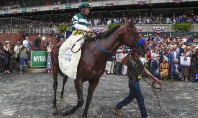 How To Bet On The Breeders Cup With Georgia Sports Betting Sites For Horse Racing