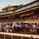 How To Bet On The Breeders Cup With Maine Sports Betting Sites For Horse Racing