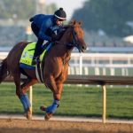 How To Bet On The Breeders Cup With Washington Sports Betting Sites For Horse Racing