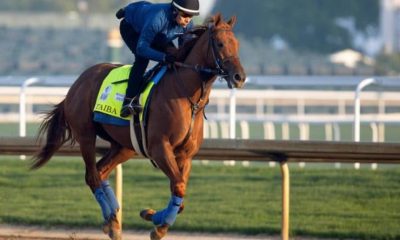 How To Bet On The Breeders Cup With Washington Sports Betting Sites For Horse Racing