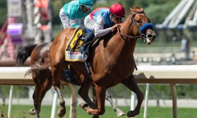 How To Bet On The Breeders Cup With West Virginia Sports Betting Sites For Horse Racing