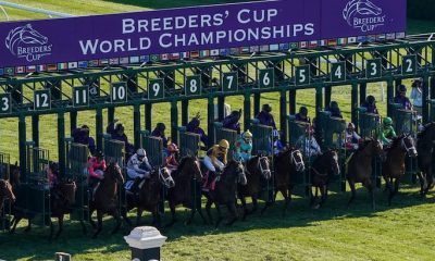 How To Bet On The Breeders Cup With Wisconsin Sports Betting Sites For Horse Racing