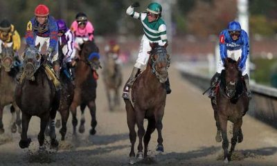 Bet On The Breeders Cup With Tennessee Sports Betting Sites