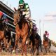 Bet On The Breeders Cup With South Dakota Sports Betting Sites