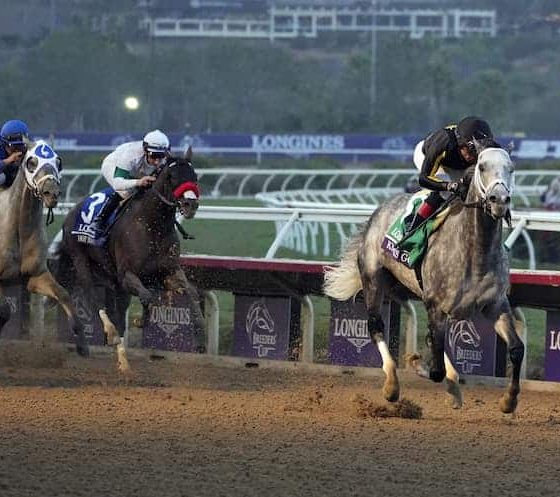 Bet On The Breeders Cup With Pennsylvania Sports Betting Sites