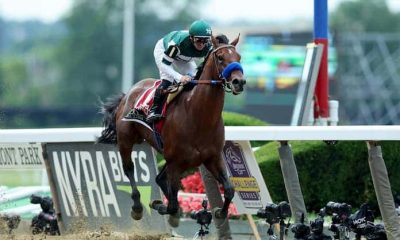 Flightline Horse - Bet On The Breeders Cup With Vermont Sports Betting Sites