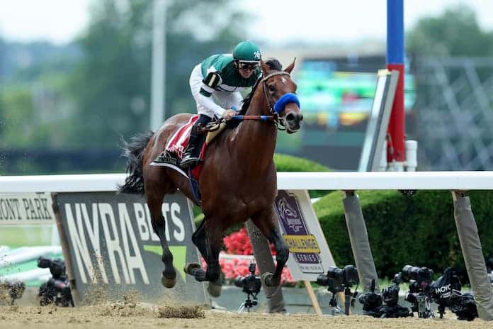 Flightline Horse - Bet On The Breeders Cup With Vermont Sports Betting Sites