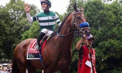 Flightline Horse - Bet On The Breeders Cup With Virginia Sports Betting Sites