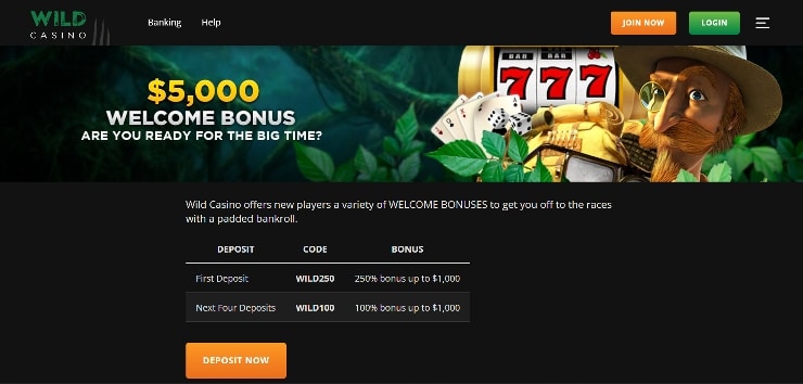 Wild Casino deposit bonus