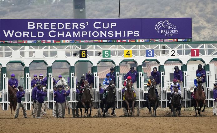 How To Bet On The Breeders' Cup With Kentucky Sports Betting Sites For Horse Racing