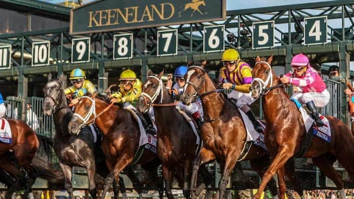 How To Bet On The Breeders Cup With Florida Sports Betting Sites For Horse Racing