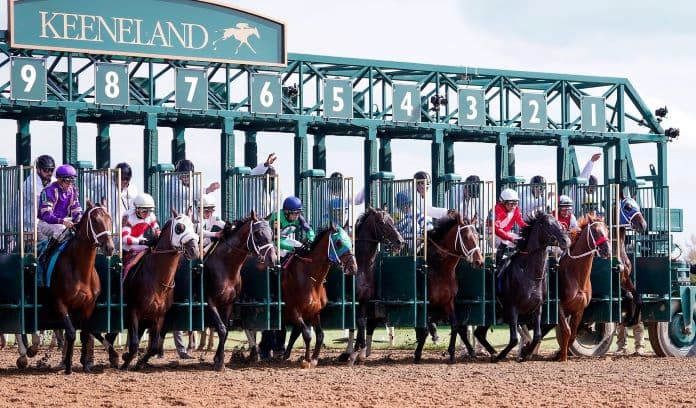 How To Bet On The Breeders Cup With Canada Sports Betting Sites For Horse Racing